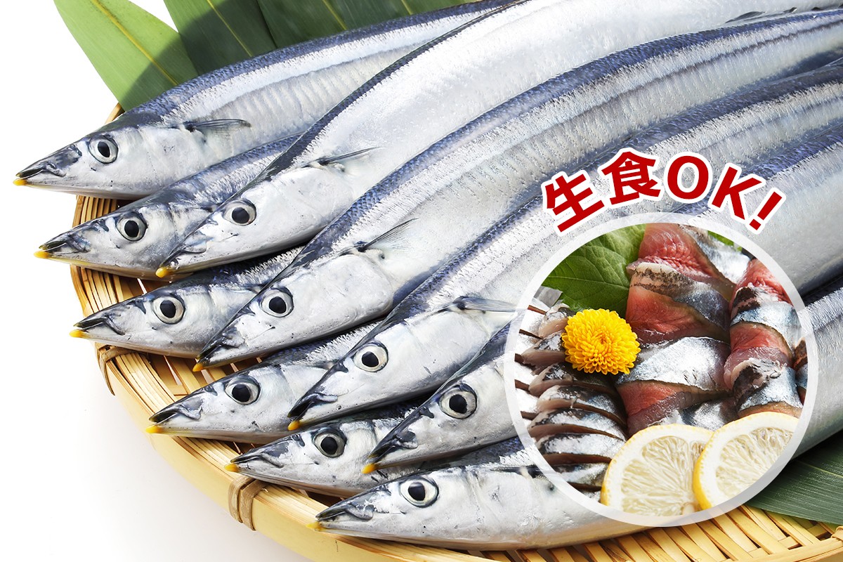 さんま 3尾 | 北海道直送便 北のおいシー.com｜飲食店向け仕入専門 干物鮮魚を北海道より直送